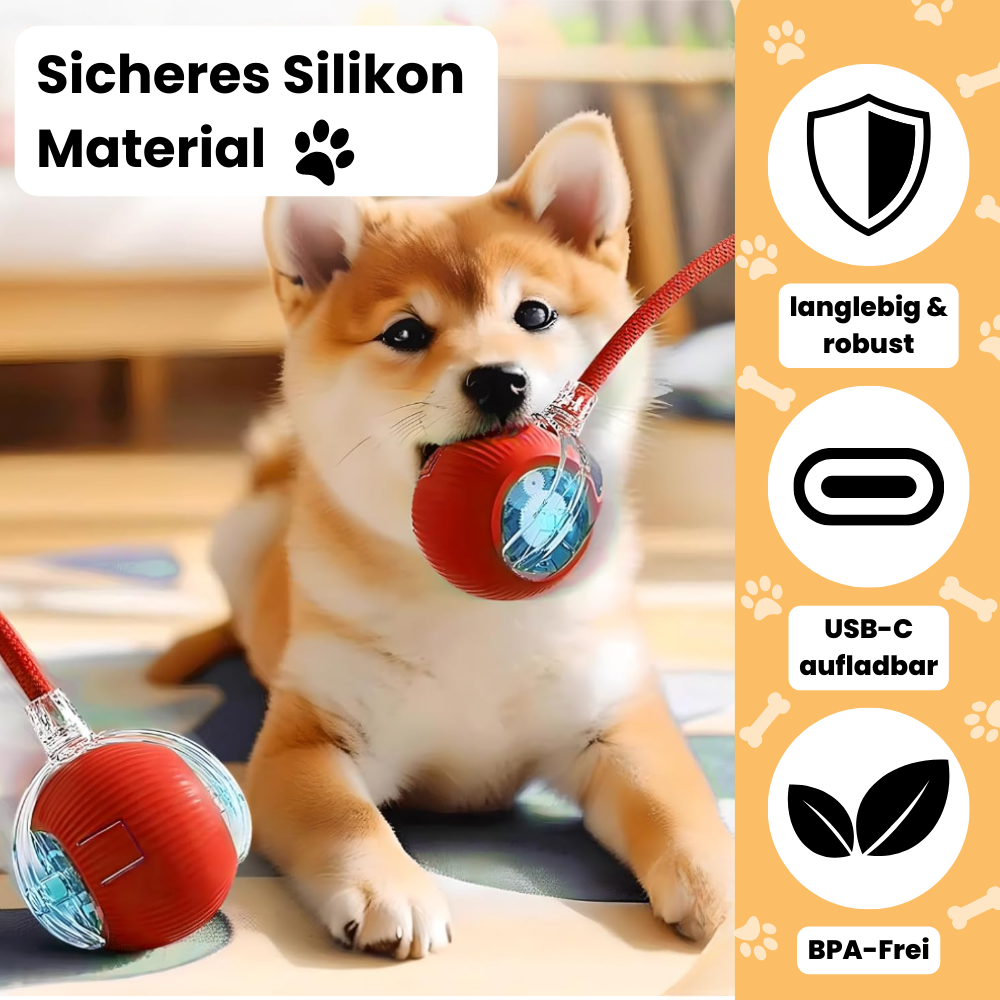 PfotenTruhe® - WhiskerBall