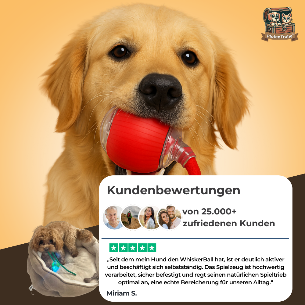 PfotenTruhe® - WhiskerBall