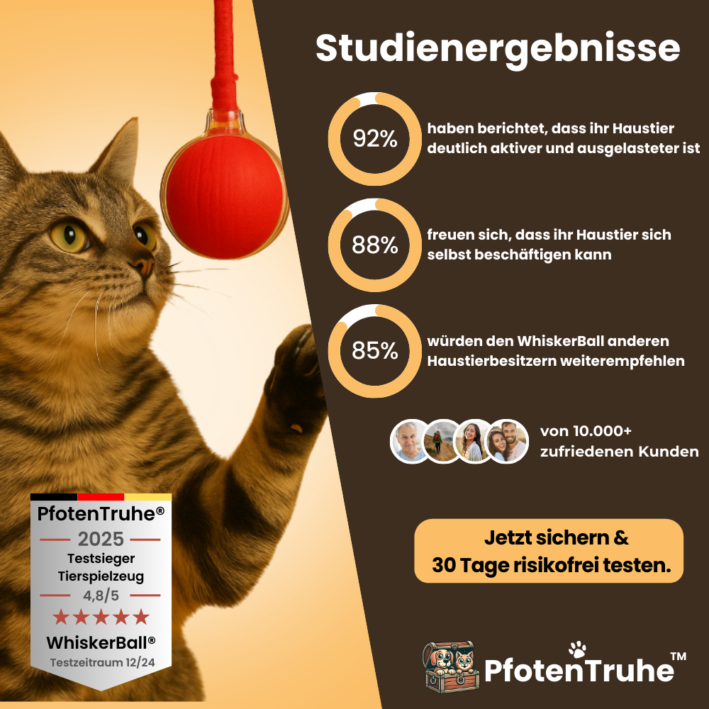 PfotenTruhe® - WhiskerBall