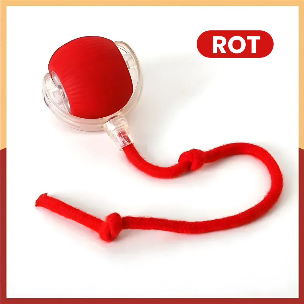 PfotenTruhe® - WhiskerBall