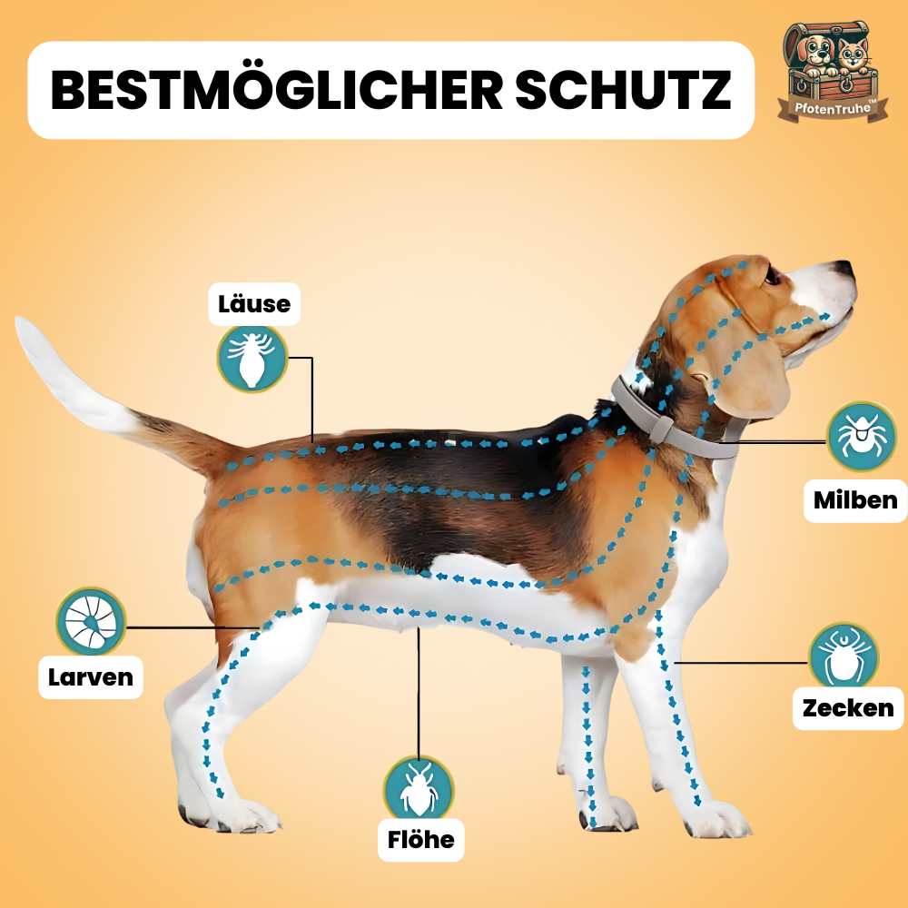 PfotenTruhe® TickShield 8+ Monate Schutz gegen Zecken & Flöhe
