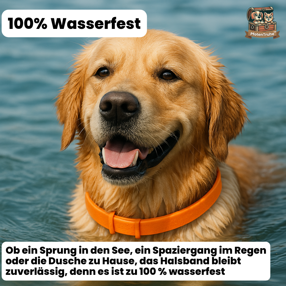 PfotenTruhe® TickShield 8+ Monate Schutz gegen Zecken & Flöhe