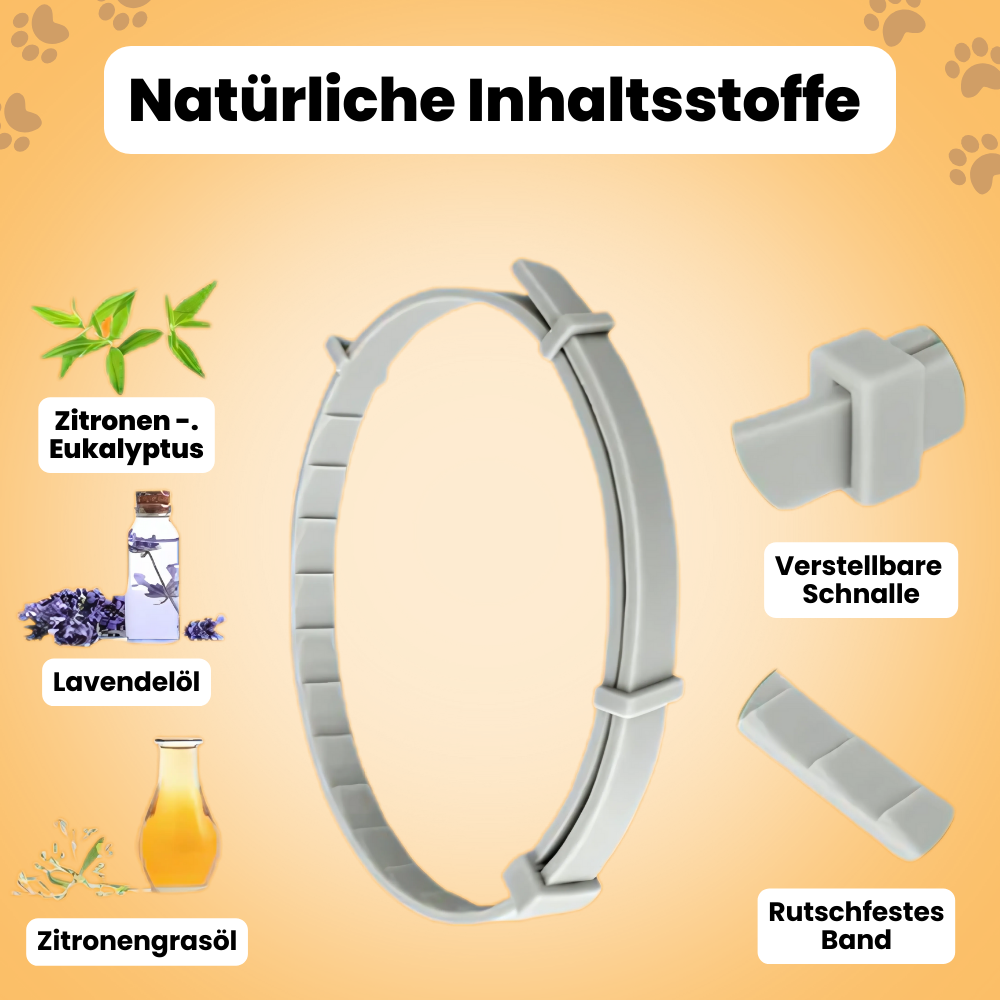 PfotenTruhe® TickShield 8+ Monate Schutz gegen Zecken & Flöhe