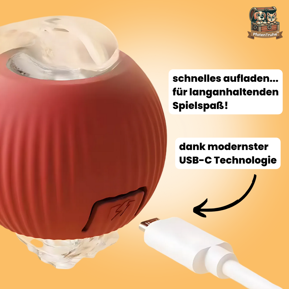 PfotenTruhe® - WhiskerBall