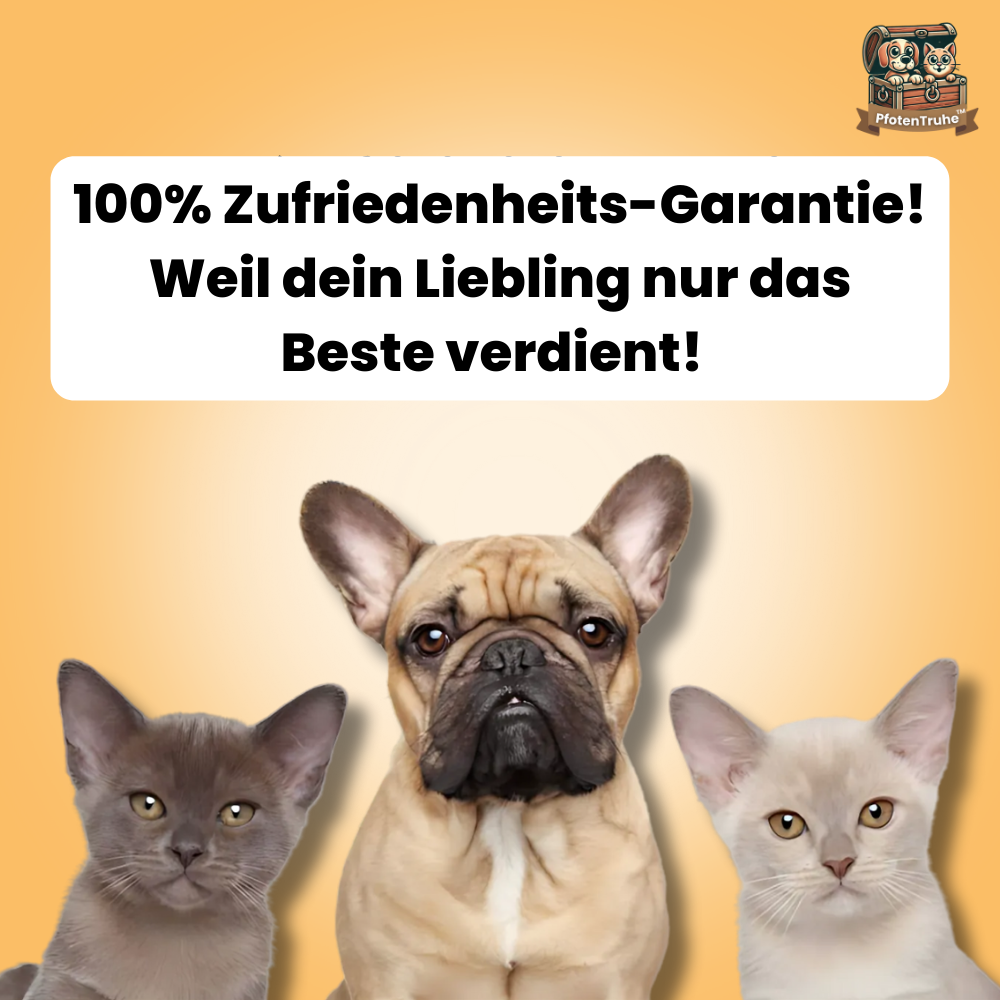 PfotenTruhe® TickShield 8+ Monate Schutz gegen Zecken & Flöhe