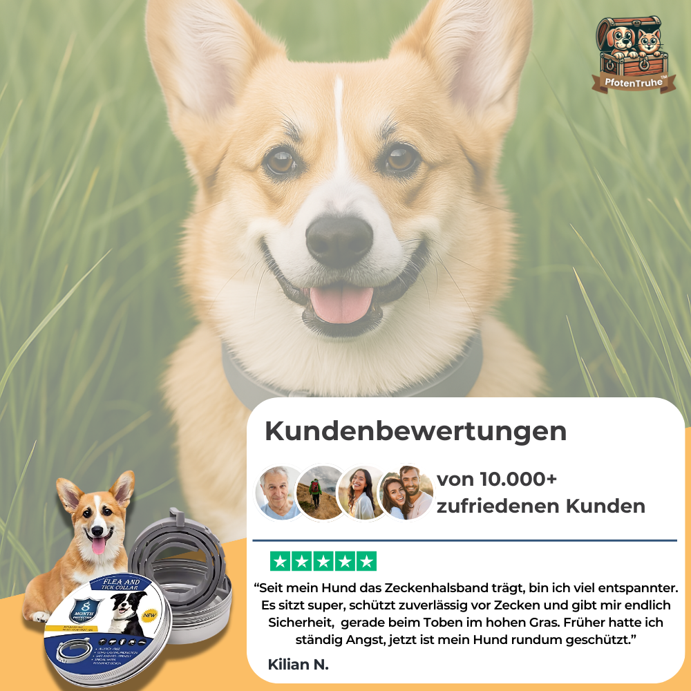 PfotenTruhe® TickShield 8+ Monate Schutz gegen Zecken & Flöhe