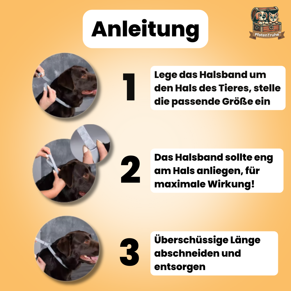PfotenTruhe® TickShield 8+ Monate Schutz gegen Zecken & Flöhe