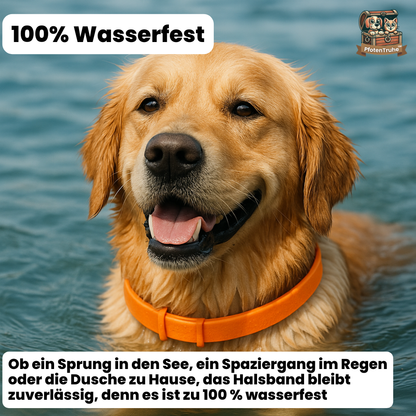 PfotenTruhe® TickShield 8+ Monate Schutz gegen Zecken & Flöhe