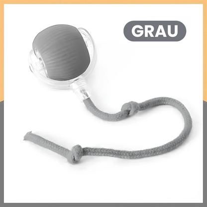PfotenTruhe® - WhiskerBall