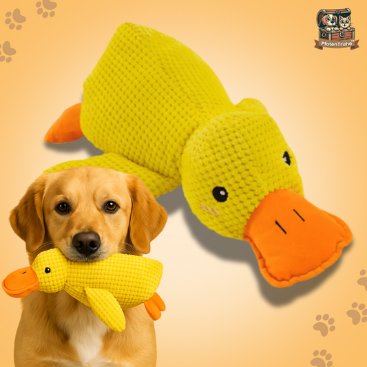 PfotenTruhe® Anti-Stress-Ente