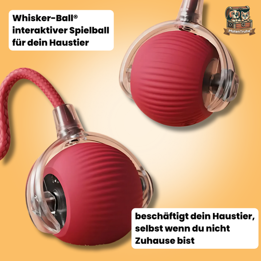 PfotenTruhe® - WhiskerBall
