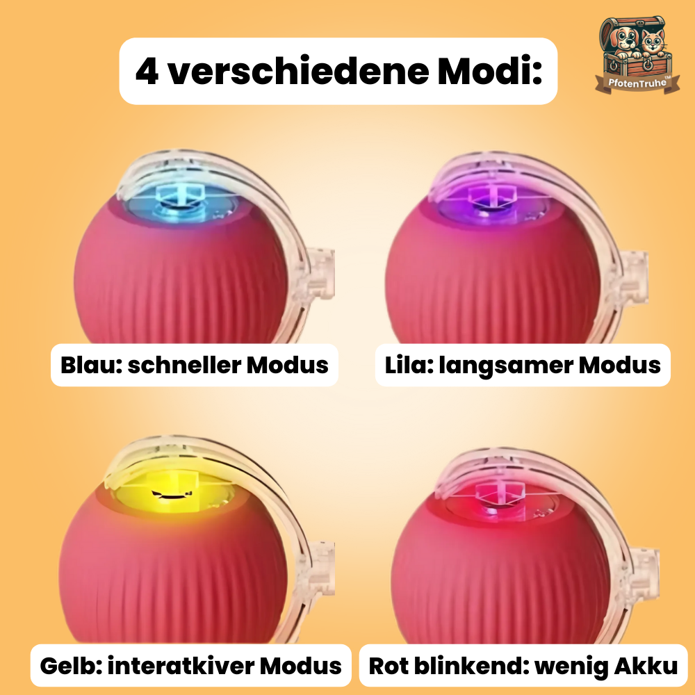 PfotenTruhe® - WhiskerBall